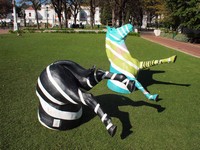 Zebras in Cape Town, Company’s Garden